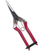 Amazon | 近正(CHIKAMASA) チカマサ 芽切鋏 T-550 | 高枝切りばさみ